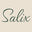 salix-beauty logo